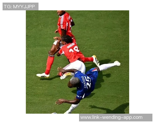 狂野足球知识揭秘足球背后的趣闻与冷知识大汇总